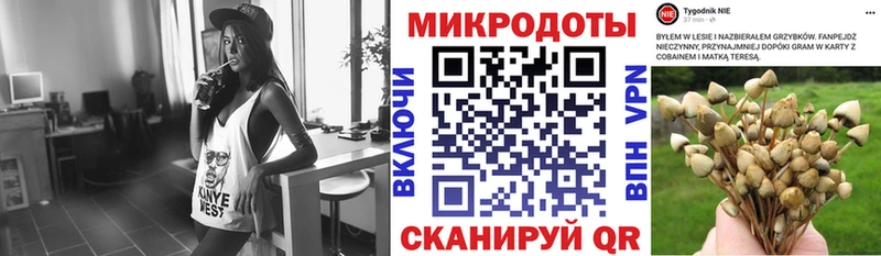 Галлюциногенные грибы MAGIC MUSHROOMS  Усть-Джегута 